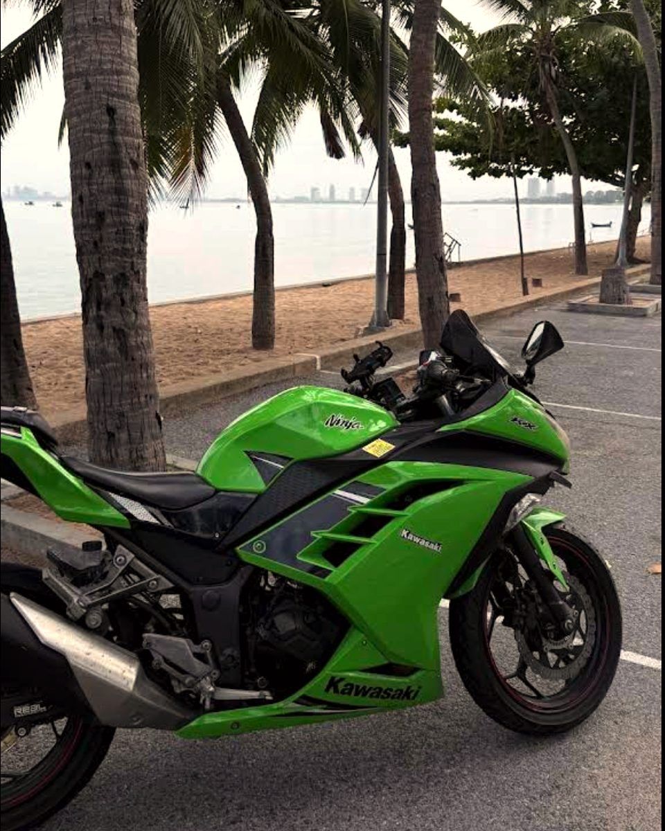 Green Kawasaki Ninja by the sea under palm trees